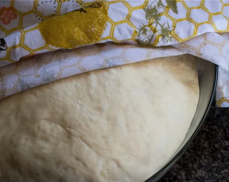 Step 1.1: Transfer the dough to a large oiled bowl and cover with a moist tea towel