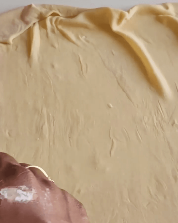 Step 1.2: Allow the dough to sit for 30 minutes before rolling out to make pasta sheets