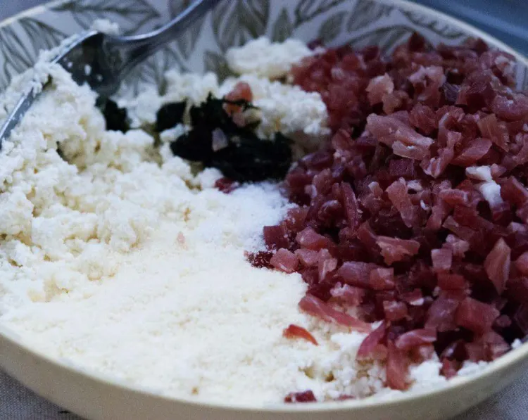 Step 1.1: In a bowl, combine ricotta cheese, speck, Parmigiano-Reggiano, fresh parsley, and salt