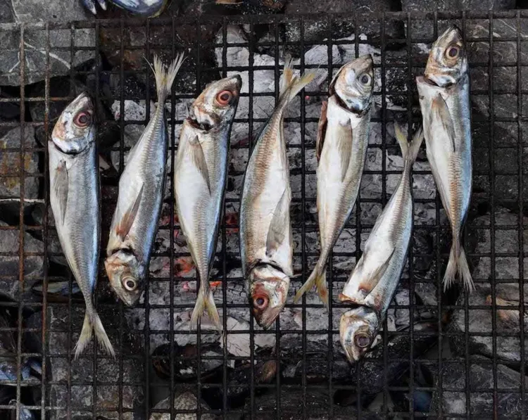 Step 2.1: Oil a grid and grill the horse mackerel over medium coals for about 3–4 minutes per side