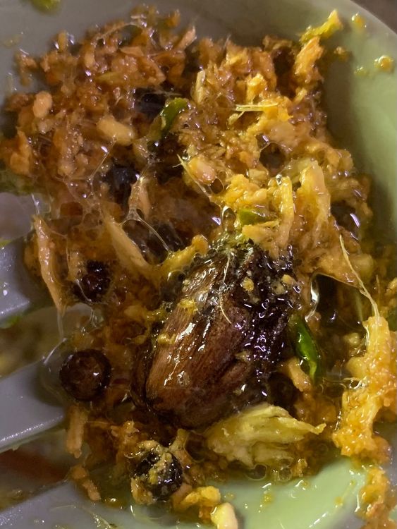Step 1.3: Add the chopped ginger, garlic and green chillies
