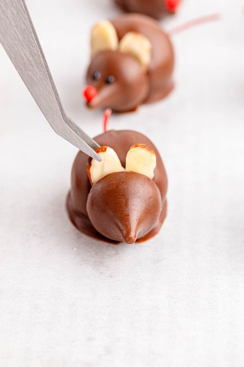 Step 2.1: For mouse ears, place two almond slices between the cherry body and the head