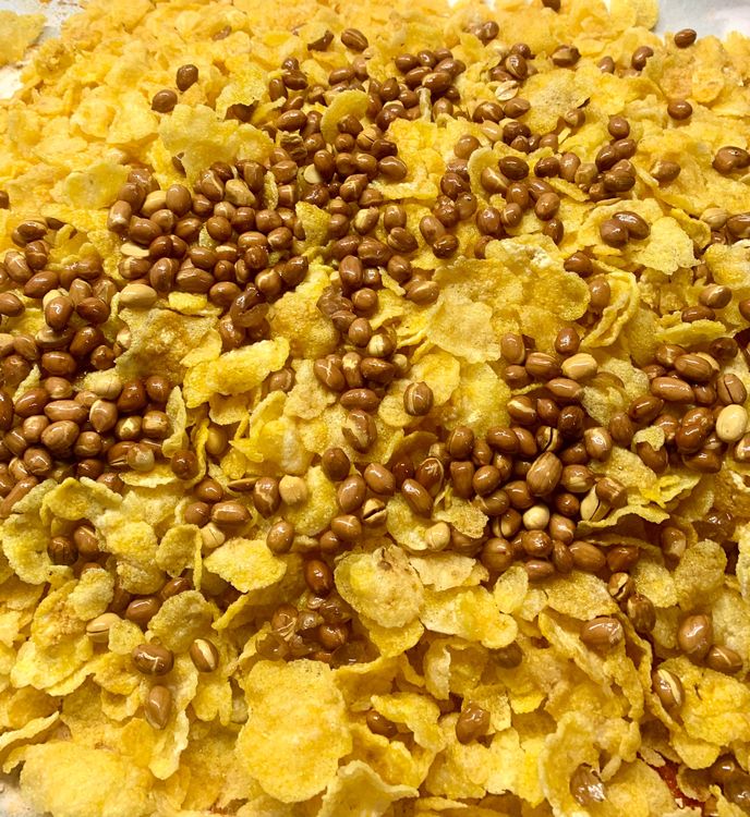 Step 2.3: Repeat the same process for the peanuts, roasted channa, dried coconut, dry red chillies and curry leaves