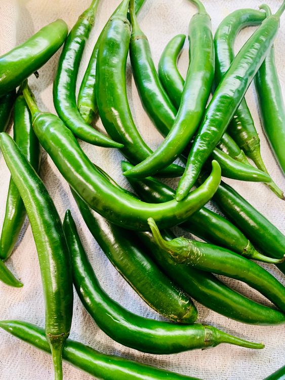 Step 1.1: Wash the green chillies and pat them dry