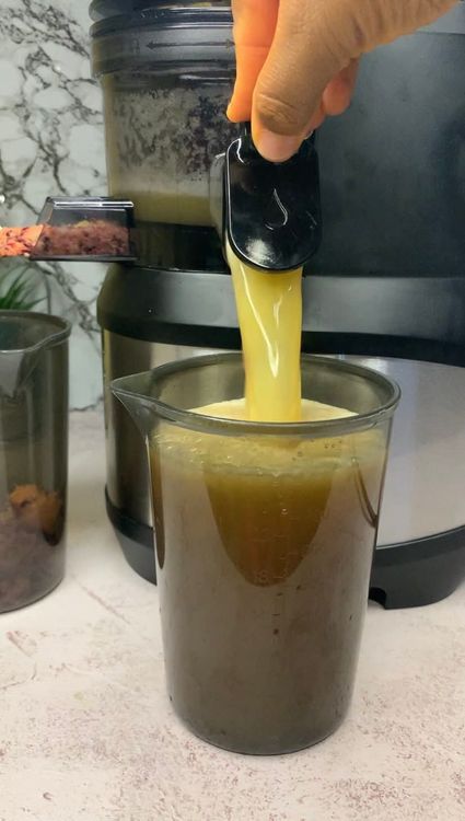 Step 2.2: Juice all ingredients using your fruit juicer
