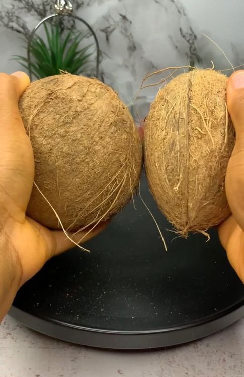 Step 1.3: Blend the fresh coconut to extract the milk