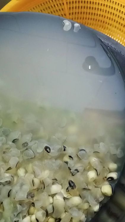 Step 1.3: Use a sieve to separate the skin peels and water from the beans