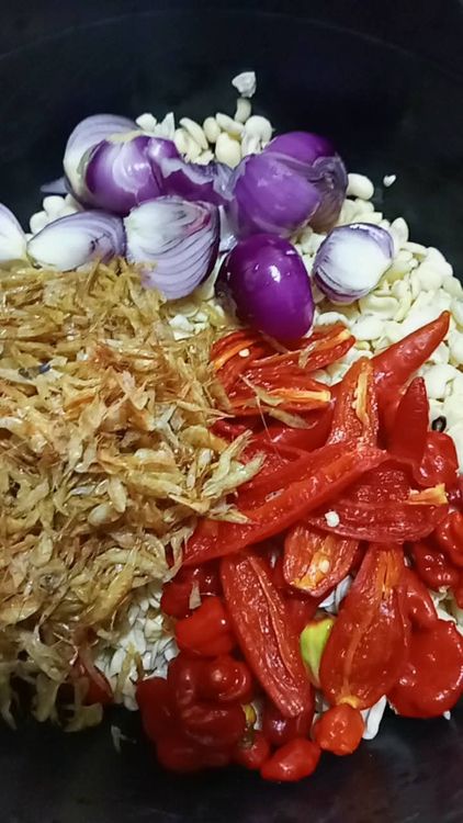 Step 2.2: Add the cleaned beans, onions, crayfish, red pepper, and shombo pepper to a blender