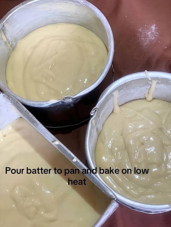 Step 1.2: Pour the batter into the prepared pans
