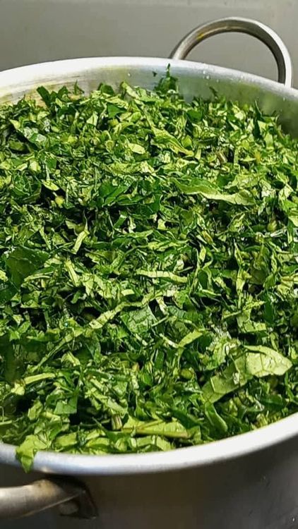 Step 1.1: Add your sliced ugu vegetable leaves and cover the pot for 30 seconds to steam slightly