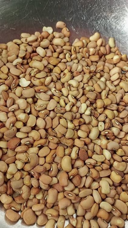 Step 1.2: For a traditional procedure, pour one cup of water into your bowl of beans , , soak for 2 minute and rub them together with your hands until the chaff is separated