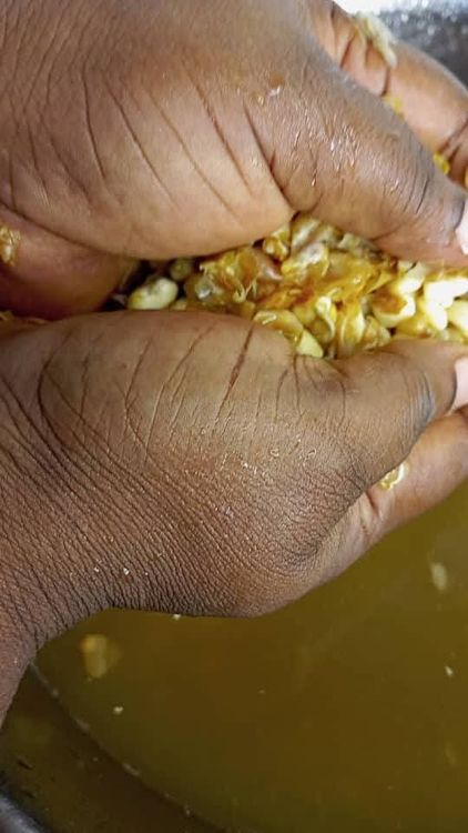 Step 1.3: For a traditional procedure, pour one cup of water into your bowl of beans , , soak for 2 minute and rub them together with your hands until the chaff is separated
