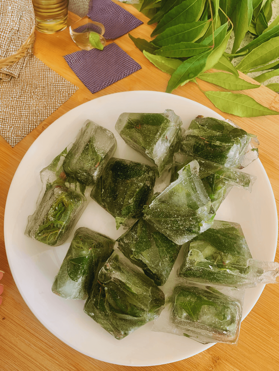 How to store Curry Leaves  recipe