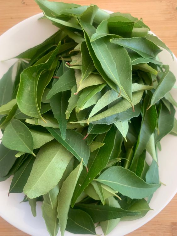 Step 1.1: Rinse the curry leaves thoroughly and pat dry with a paper towel