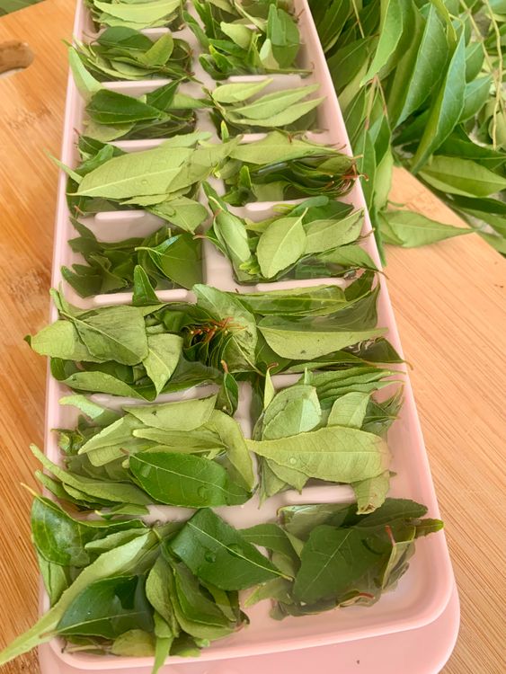 Step 1.1: Place a few curry leaves into each compartment of the ice cube tray