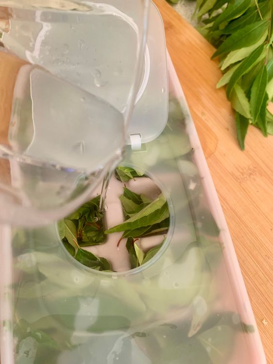 Step 1.1: Fill each compartment with water, ensuring the leaves are fully submerged