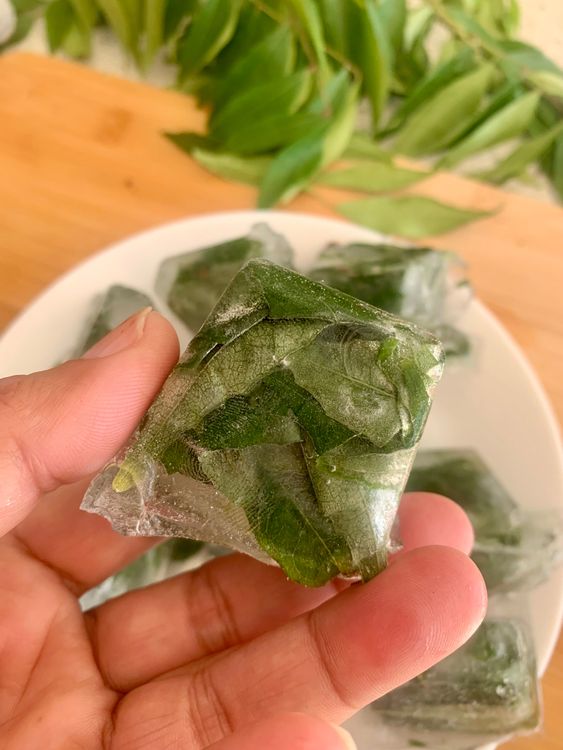 Step 1.1: When you need curry leaves for a recipe, take out the required number of ice cubes