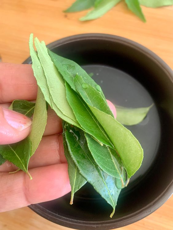 Step 1.2: When you need curry leaves for a recipe, take out the required number of ice cubes