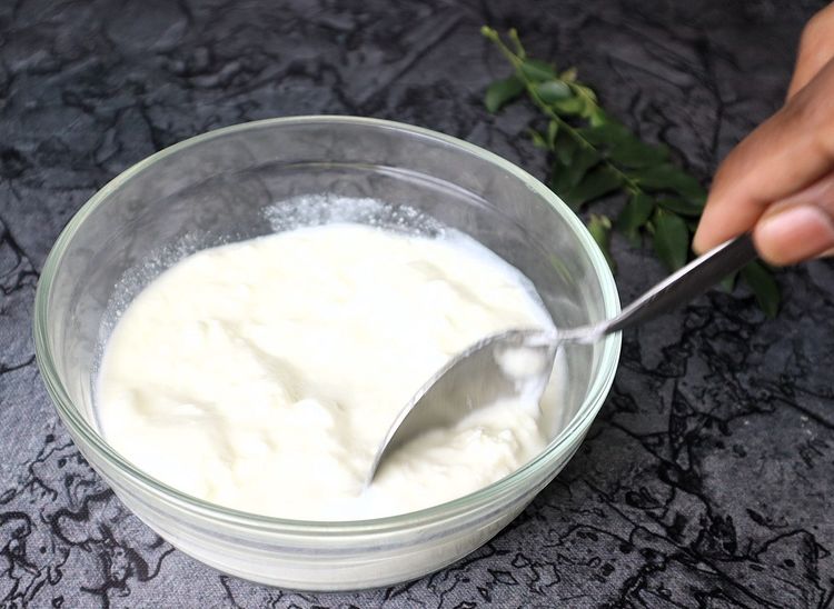 Step 1.4: In a bowl, add thick curd and whisk for 2 minutes until it reaches a creamy consistency
