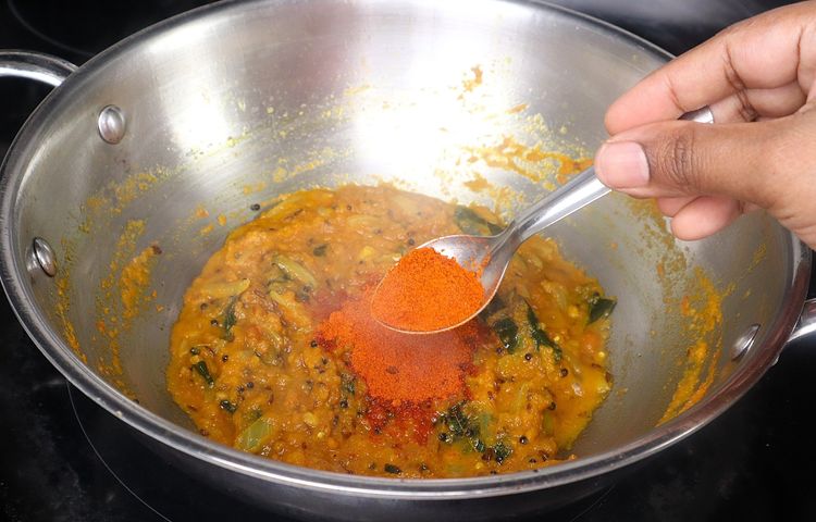 Step 2.2: Add red chili powder, salt, and coriander powder
