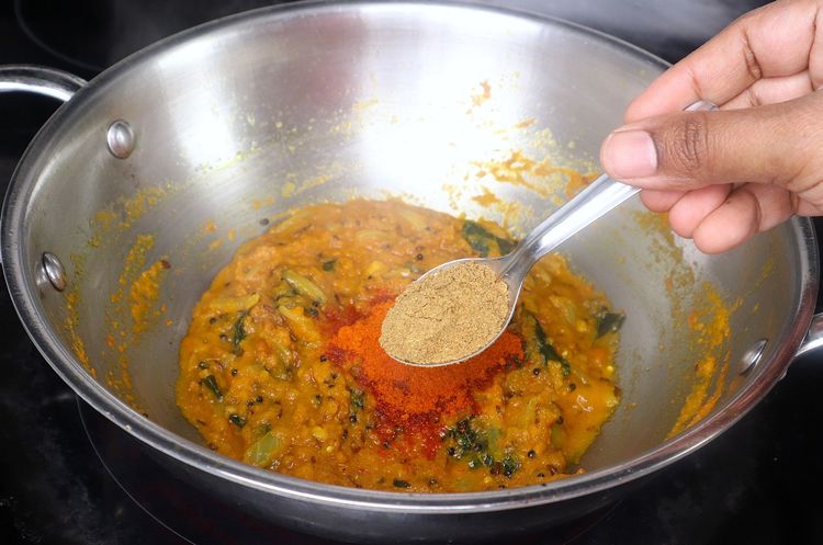 Step 2.3: Add red chili powder, salt, and coriander powder