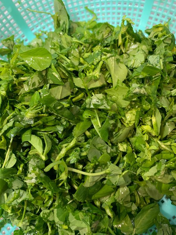 Step 1.1: Wash the fenugreek leaves thoroughly under running water to remove any dirt