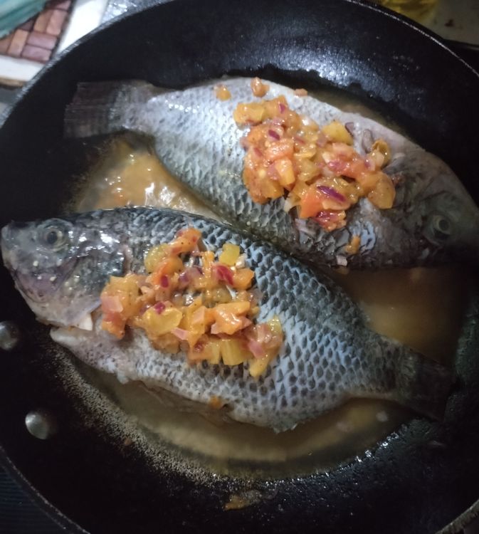 Step 1.1: Add in the Fish 🐟,
