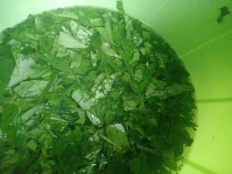 Step 1.1: गंदगी हटाने के लिए अच्छी तरह धो लें और पानी निकालने दें।