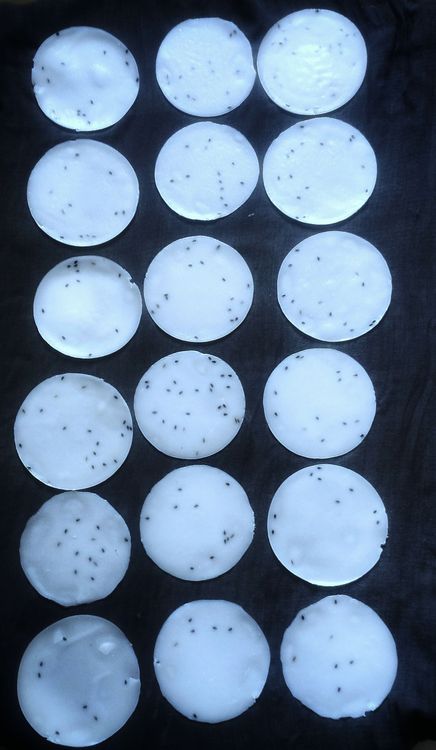 Step 1.1: Sun-dry the pappadams