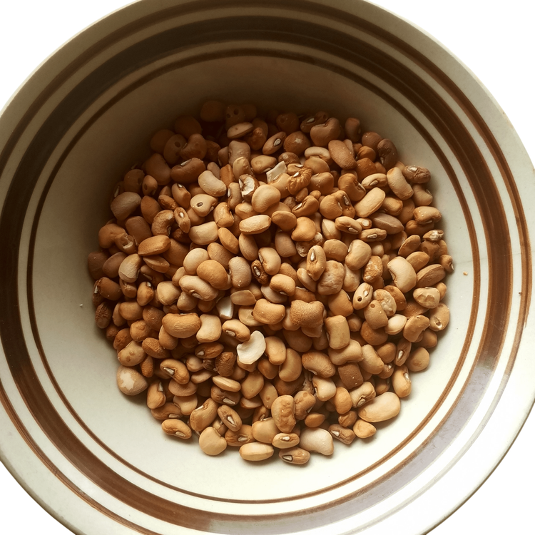 Step 1.1: Select the beans to remove stones and damaged beans