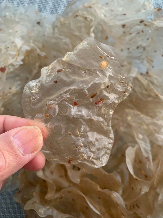Step 2.1: Once dried, store the papads in an airtight container