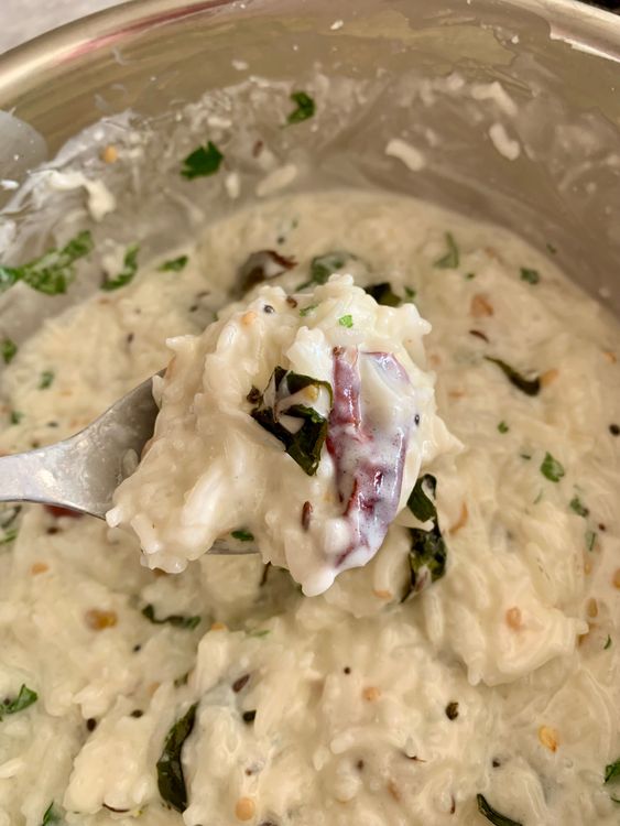 Step 2.2: Adjust the salt and curd consistency, as needed by adding milk or more curd