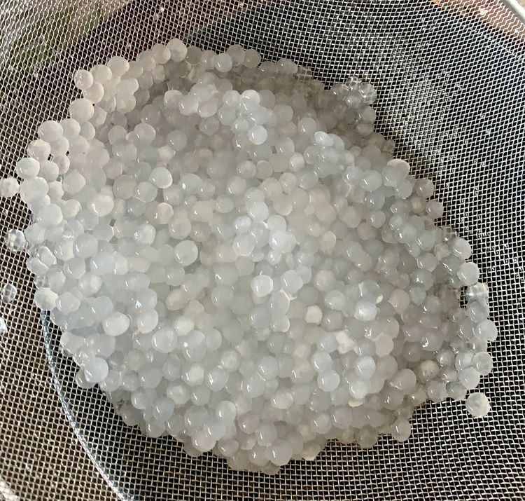 Step 1.1: Add the sago pearls, stir gently, and cook for about 5-6 minutes or until they become translucent