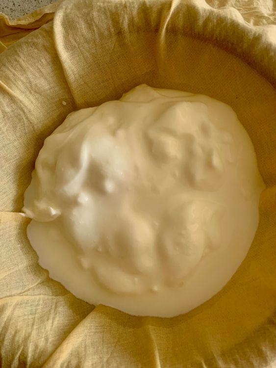 Step 1.1: Pour the plain yogurt into the muslin cloth
