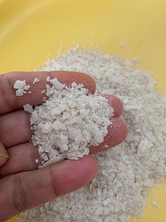 Step 2.1: Let it cool slightly, then pulse it in a blender to make a coarse powder, but not very fine