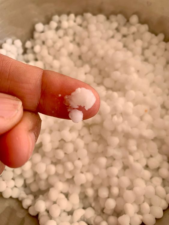 Step 1.2: Rinse sabudana 2–3 times until the water runs clear