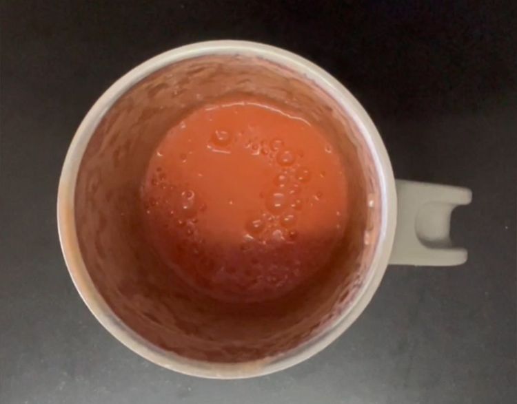 Step 1.1: Put it in a mixer and make a puree
