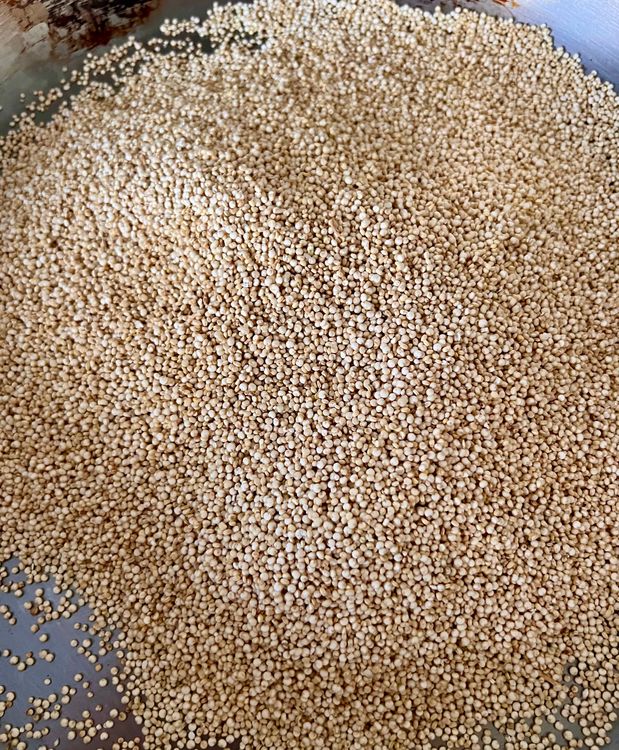Step 1.1: Heat a large sauce pan over medium heat on the stove