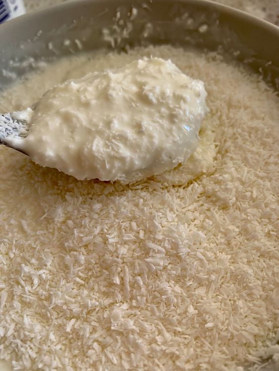 Step 1.1: Combine desiccated coconut and curd in a bowl