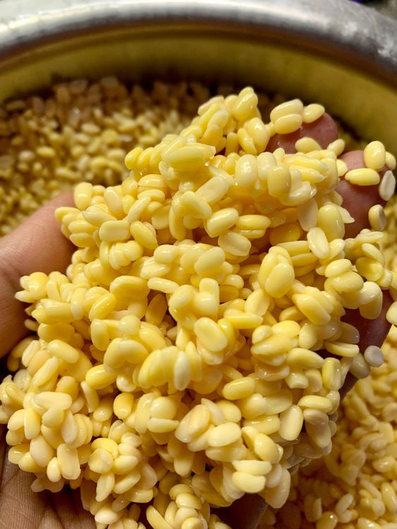 Step 1.1: Wash the lentils (moong dal) and soak them in water for at least 2 hours