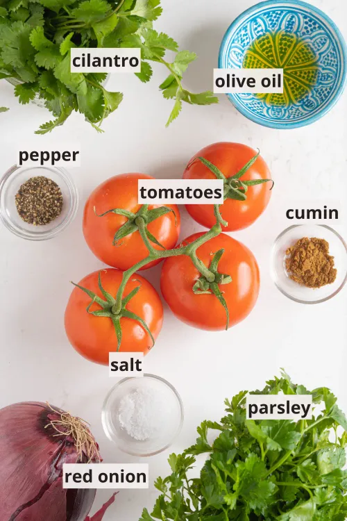 Step 1.2: In a large mixing bowl, combine the diced tomatoes, chopped onion