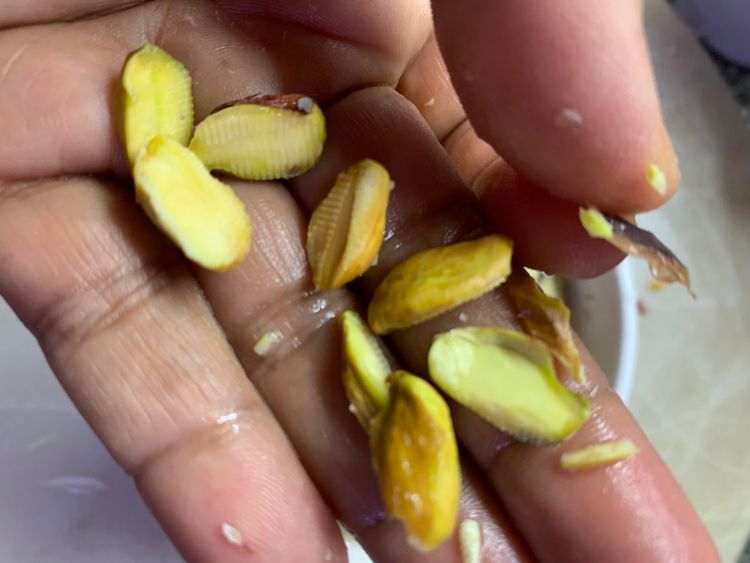 Step 3.1: Strain the water and place the pistachios on a kitchen towel or a dry cloth