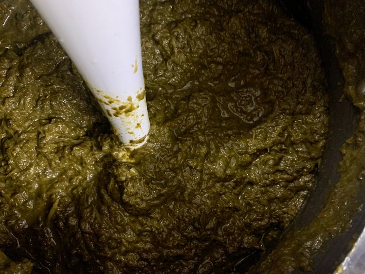 Step 2.1: Blend the leaves with a blender till coarsely ground and keep aside for later use