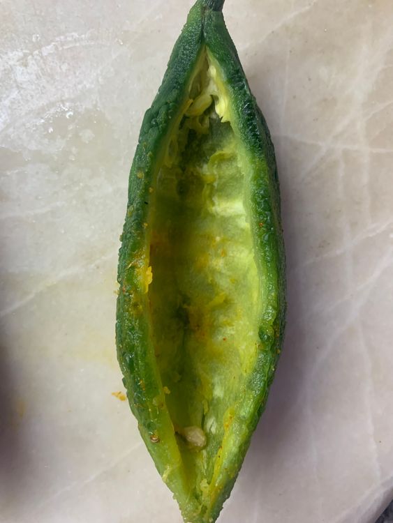 Step 1.2: Scrape and slit the bitter gourds (karela) lengthwise/vertically and scoop out the seeds