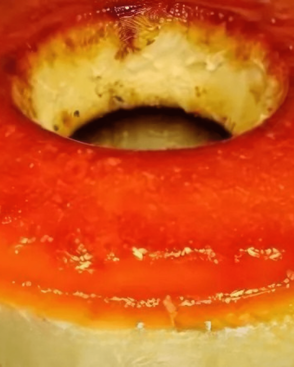 Luiz Felipe Pudding recipe