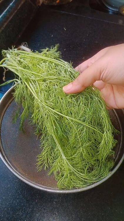 Step 1.1: Remove the tender leaves of dill and wash well to remove dirt and impurities
