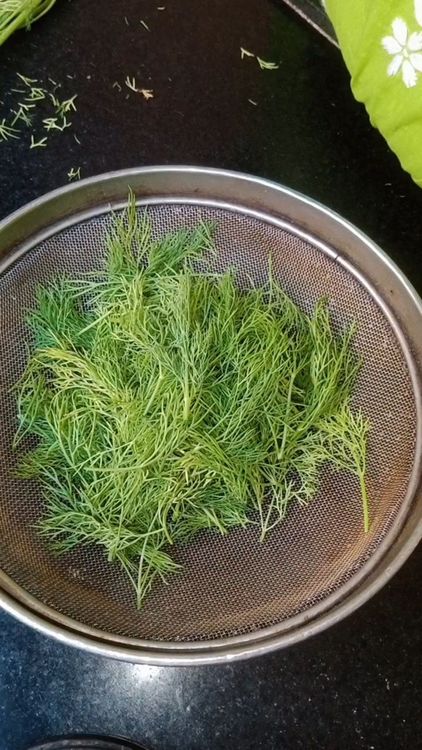 Step 1.2: Remove the tender leaves of dill and wash well to remove dirt and impurities