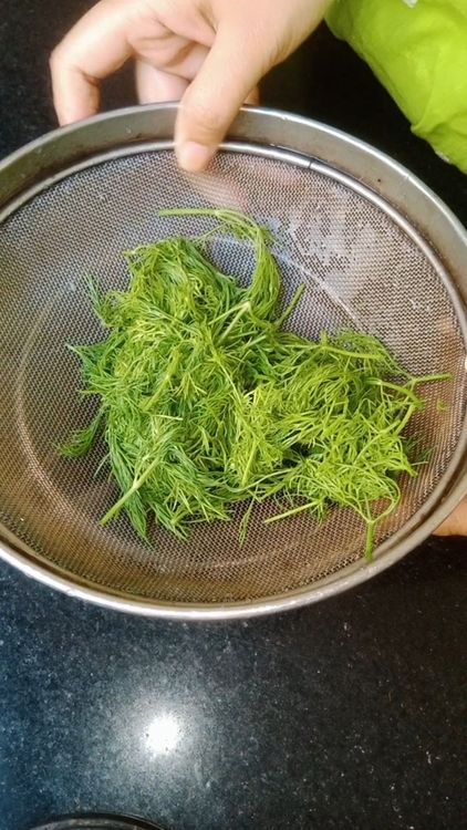 Step 1.3: Remove the tender leaves of dill and wash well to remove dirt and impurities