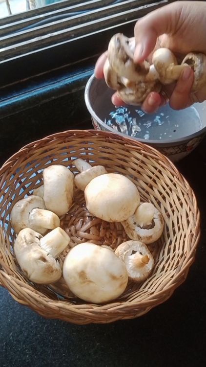 Step 1.1: Strain the mushrooms after cleaning