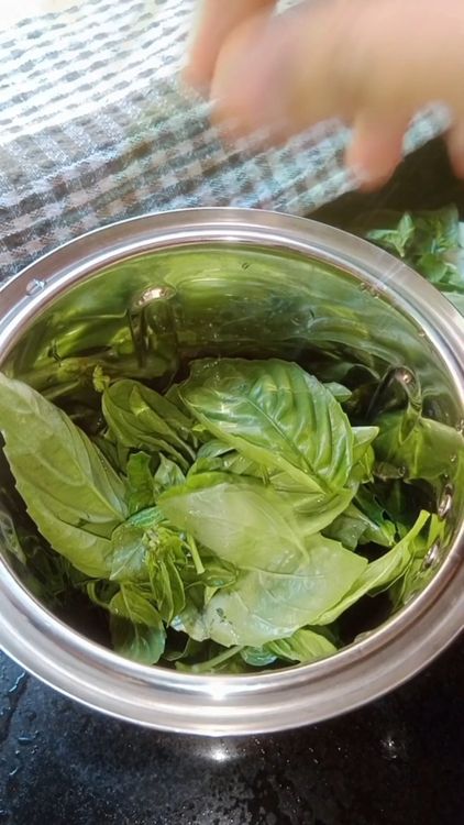 Step 1.1: Wash 2-3 times basil bunch , remove the tender leaves of basil , avoid stems